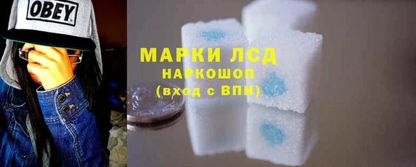 амф Новозыбков