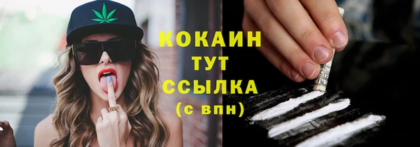 соль курить ск Новодвинск