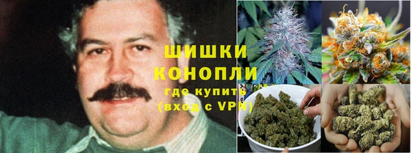 амф Новозыбков