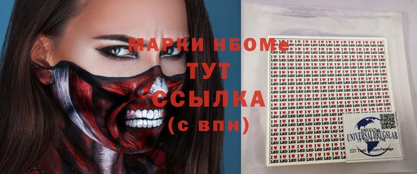 амф Новозыбков