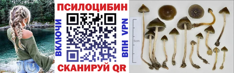 как найти наркотики  Усть-Лабинск  kraken вход  Галлюциногенные грибы Cubensis 