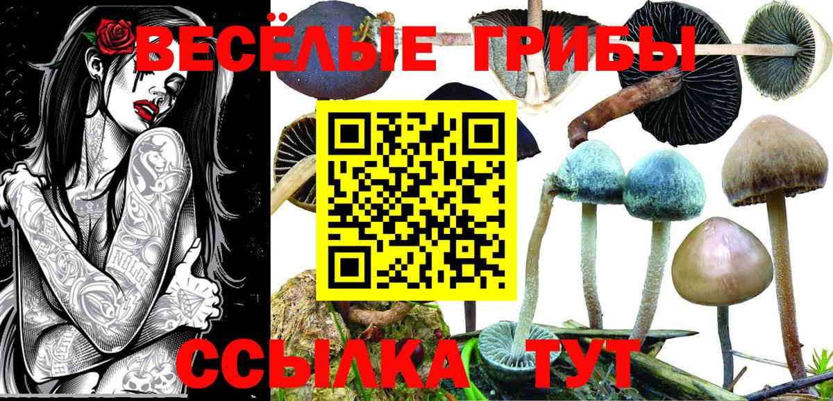Усть-Лабинск  Псилоцибиновые грибы мухоморы  Псилоцибиновые грибы мухоморы  Вход с VPN 